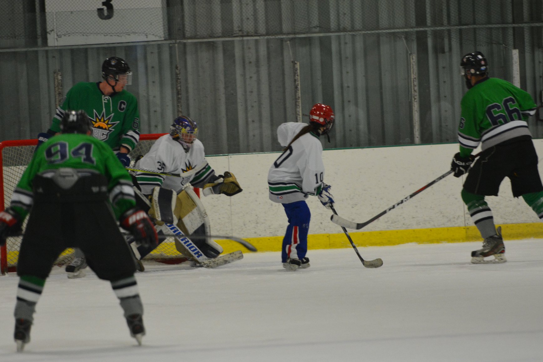 Pictures from White vs Green Game 2018